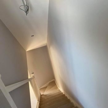 100560114 1502721636567573 6489598681203867648 n