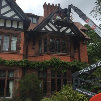 10516778 446374282202319 2638208562261414746 n 1