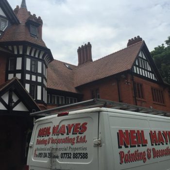 11695899 450510061788741 3756569074973344728 n