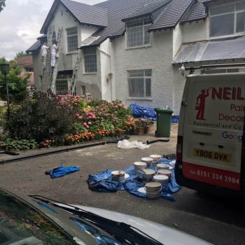 16387317 713715445468200 3490366162577157238 n