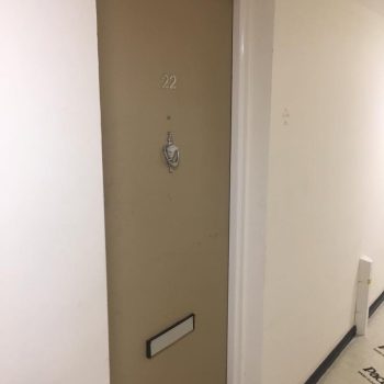 16507950 718087491697662 1999337859212848661 n